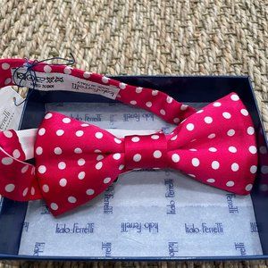 Italo Ferretti Satorial Silk Bowtie